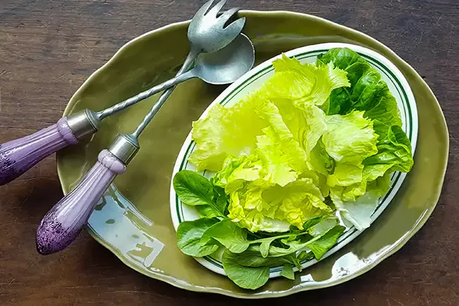 Receita de Salada de folhas verdes