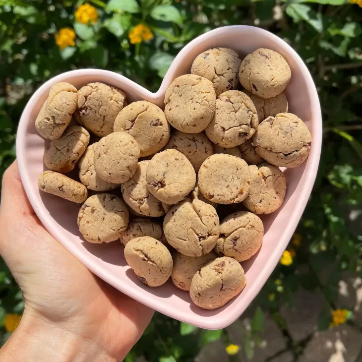Receita de Cookies com chocolate sem glúten