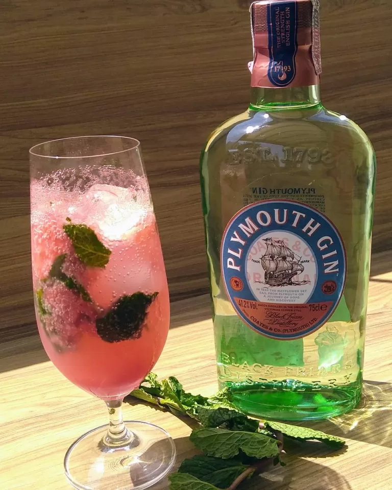 Receita de Gin de melancia com hortelã