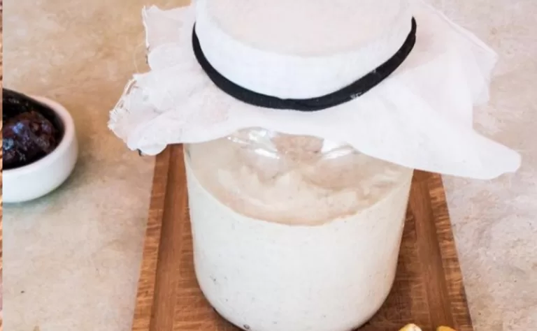 Receita de Iogurte vegano