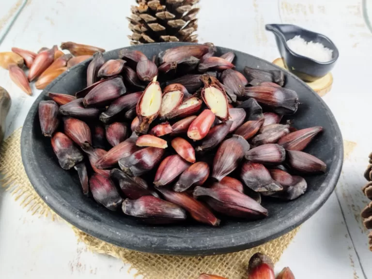 Receita de Pinhão na pressão